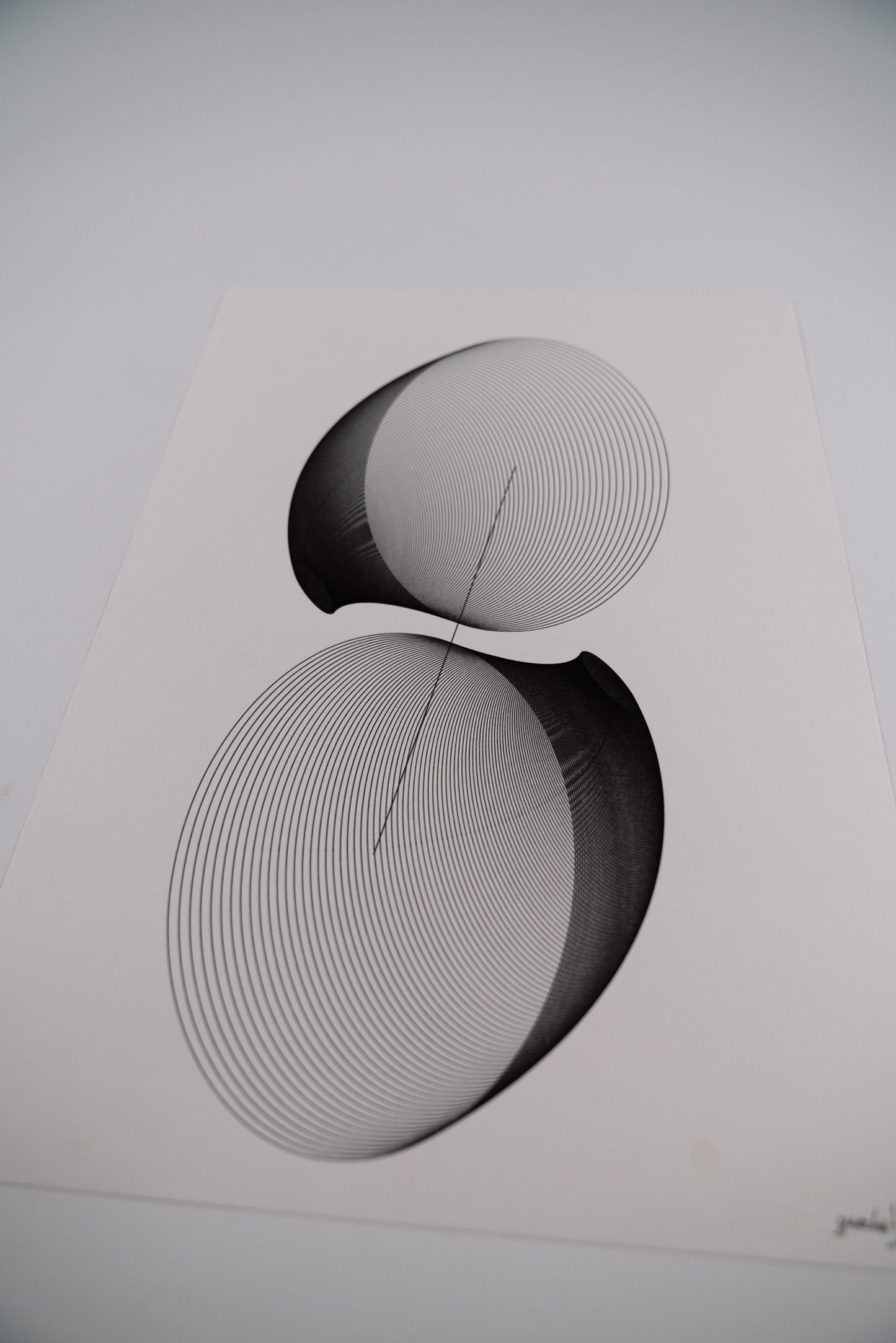 form 003