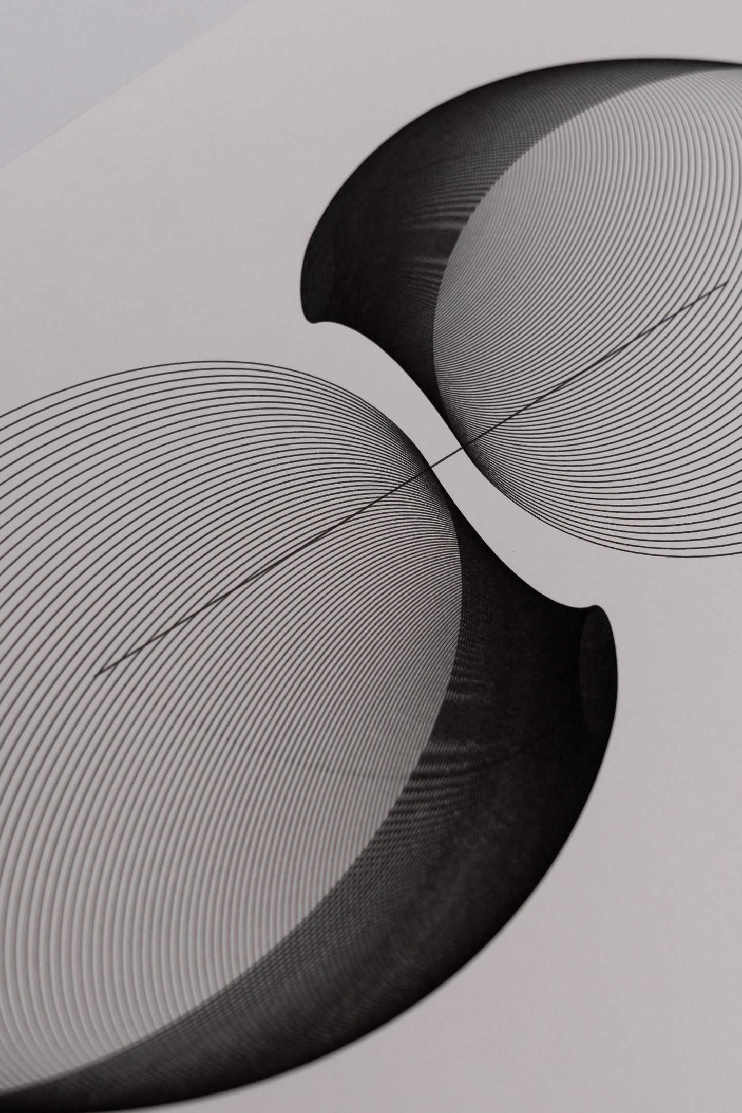 form 003
