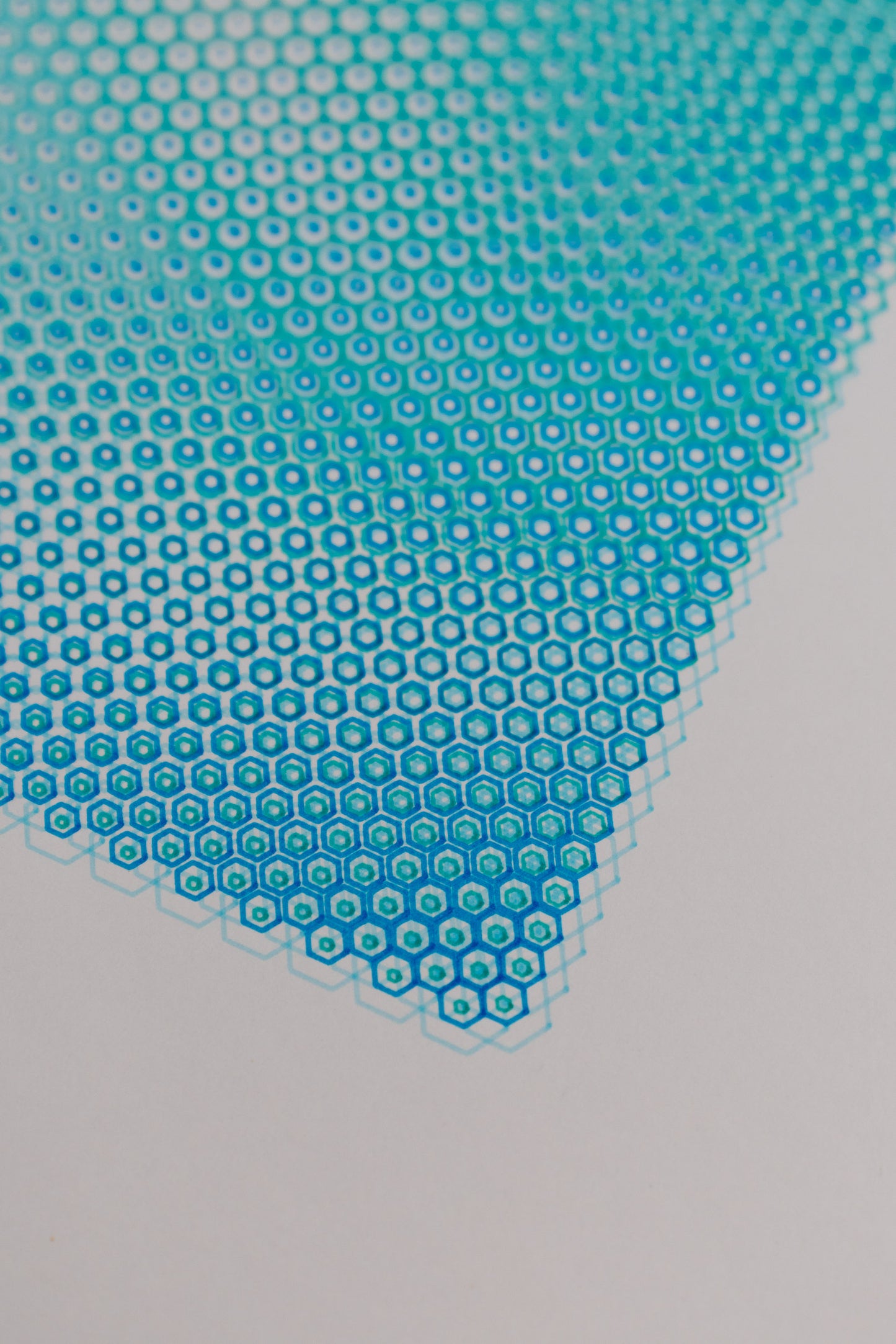 polygon 001