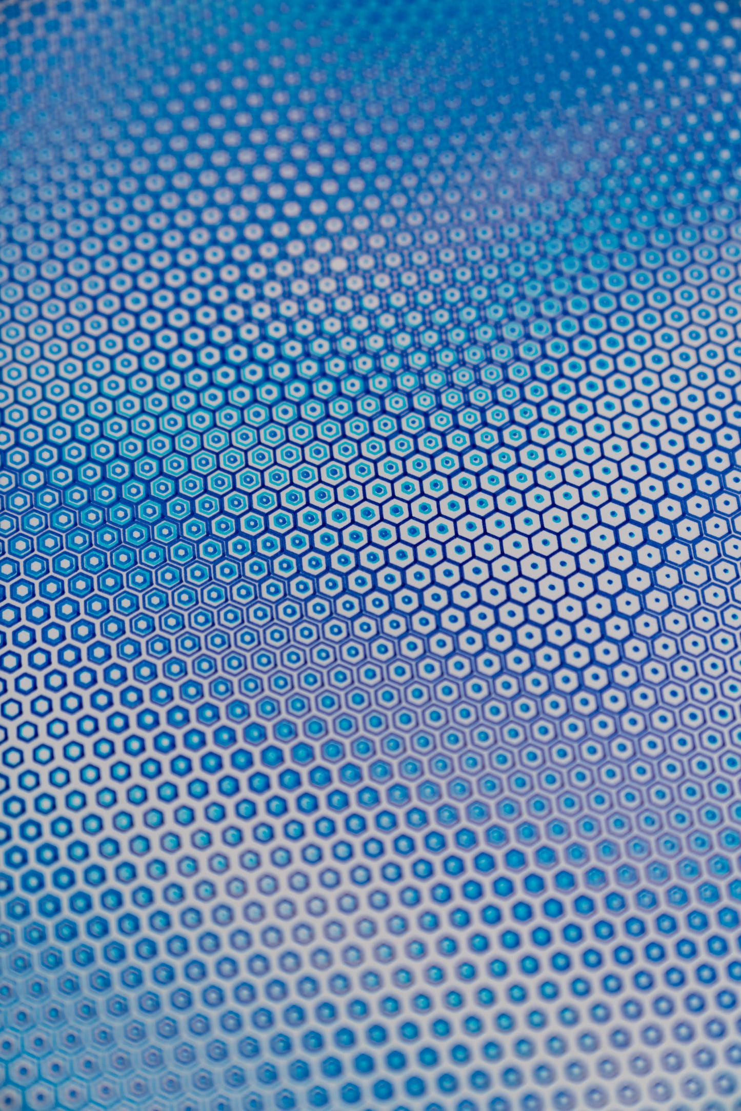 polygon 003