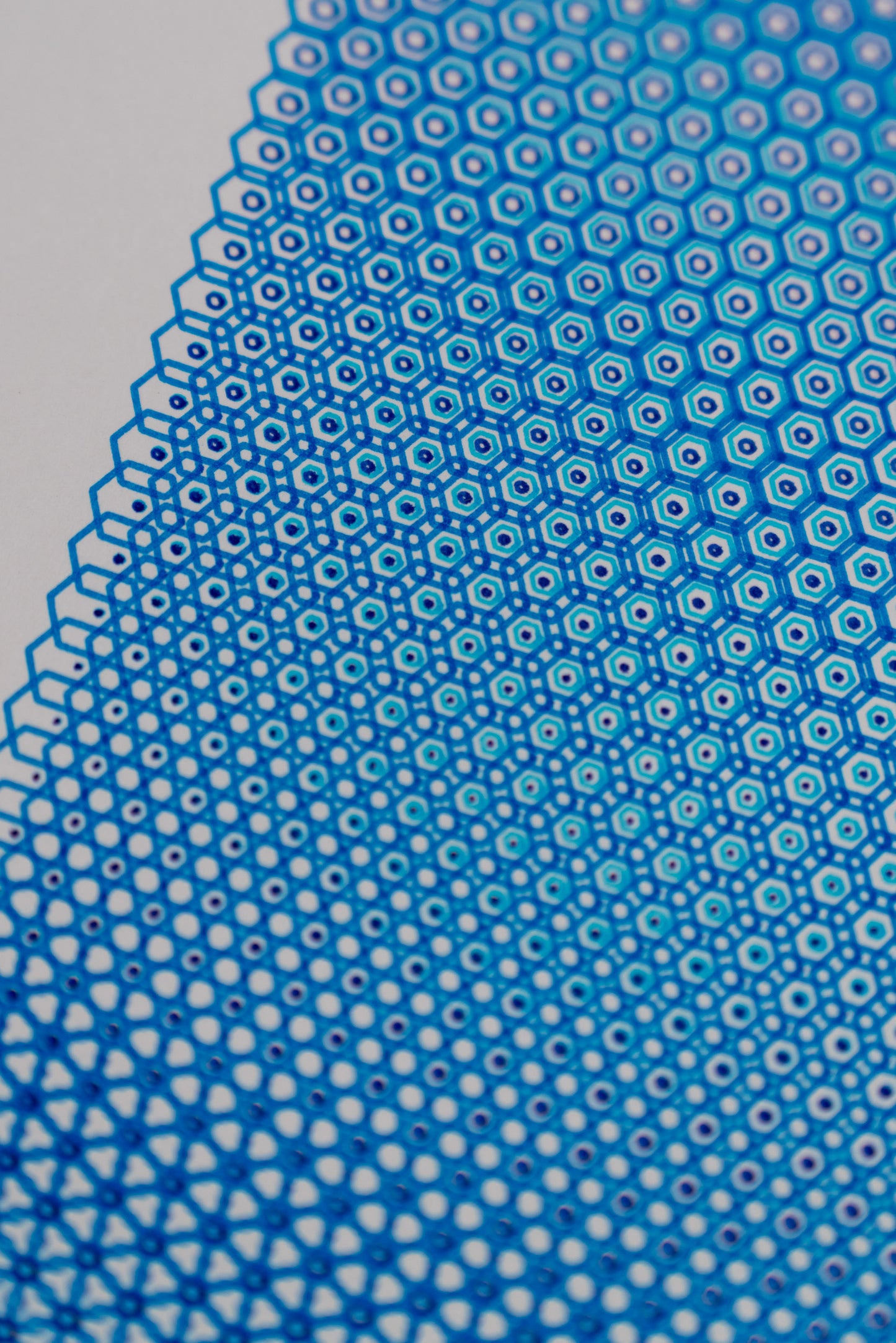 polygon 003
