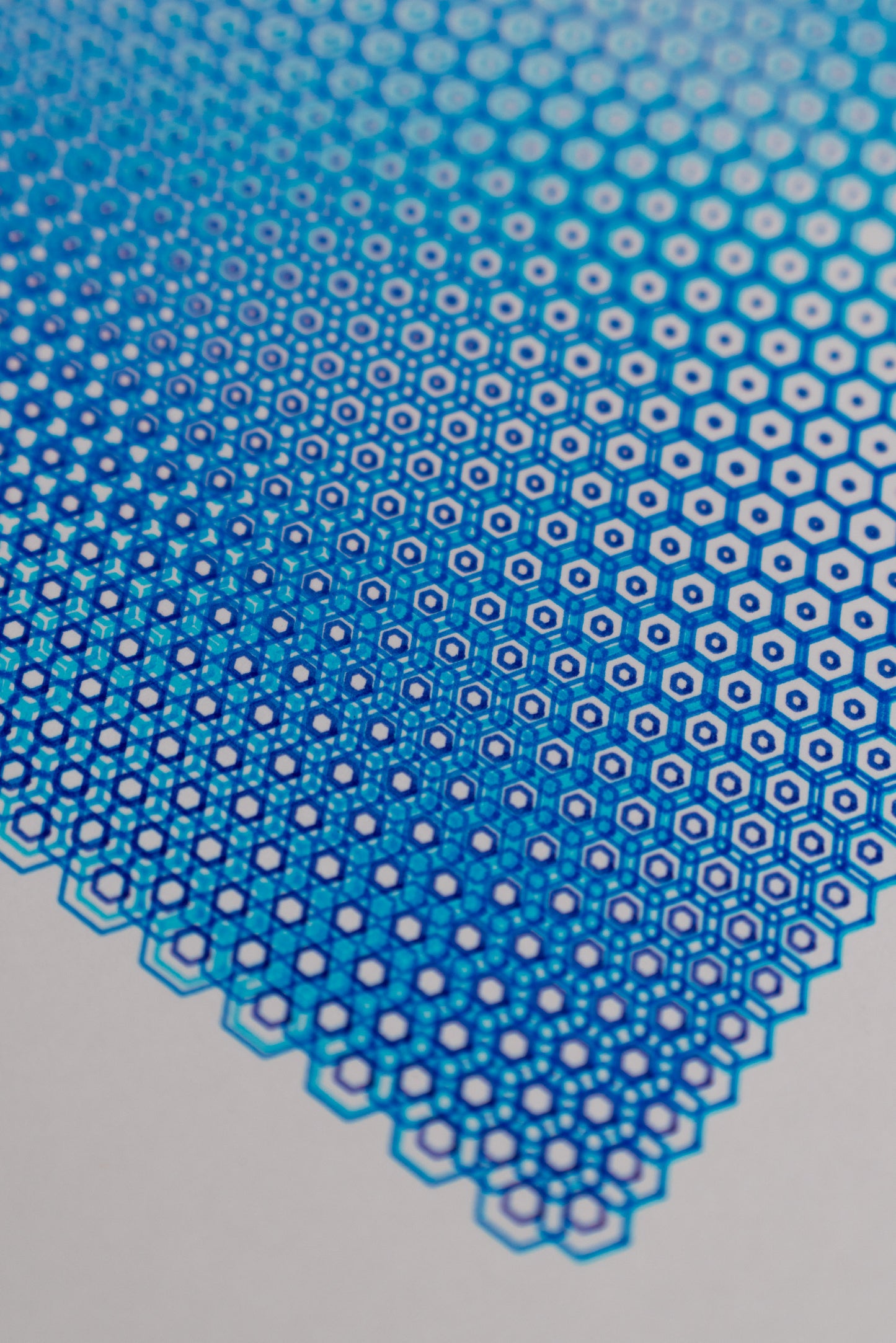 polygon 003