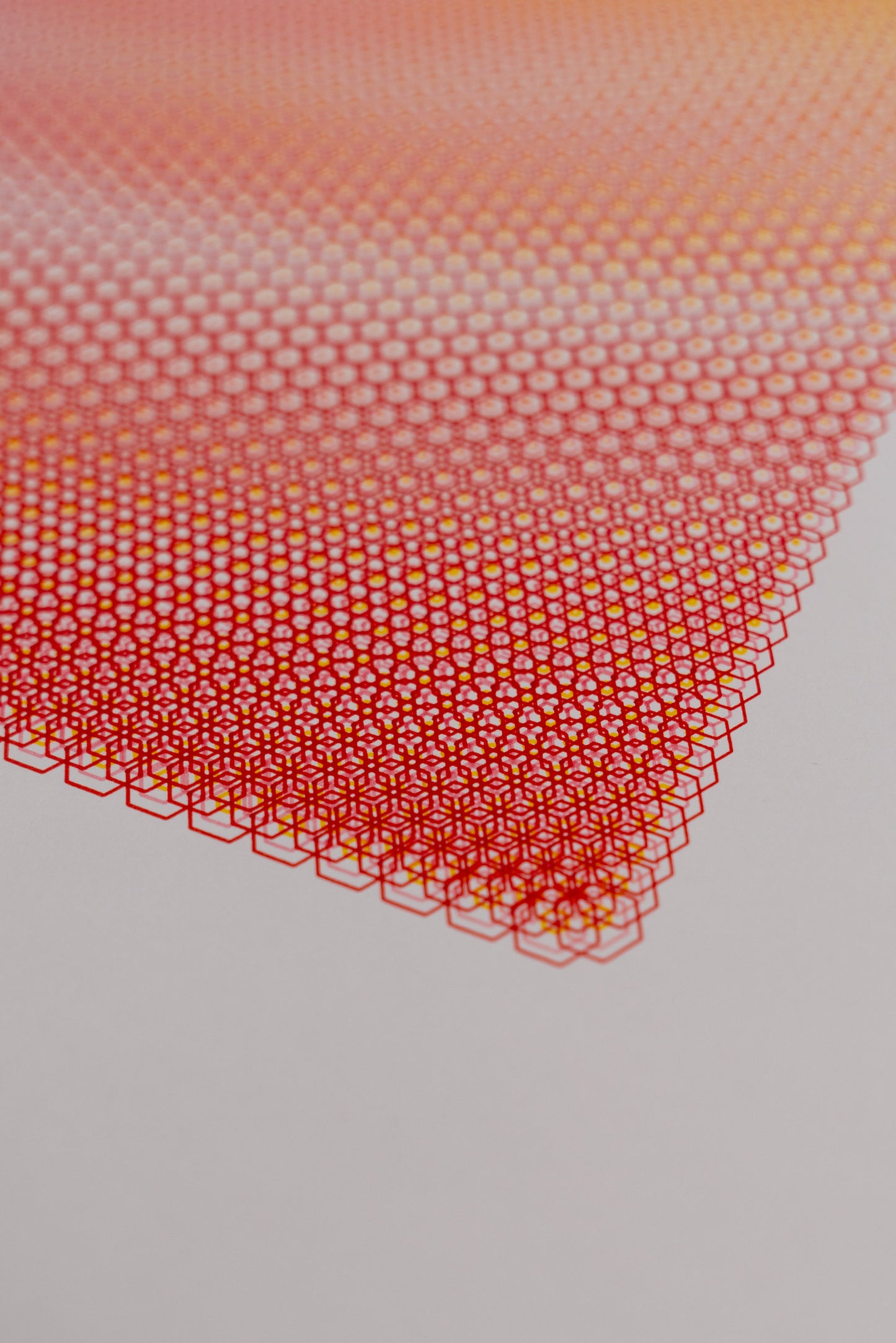 polygon 005