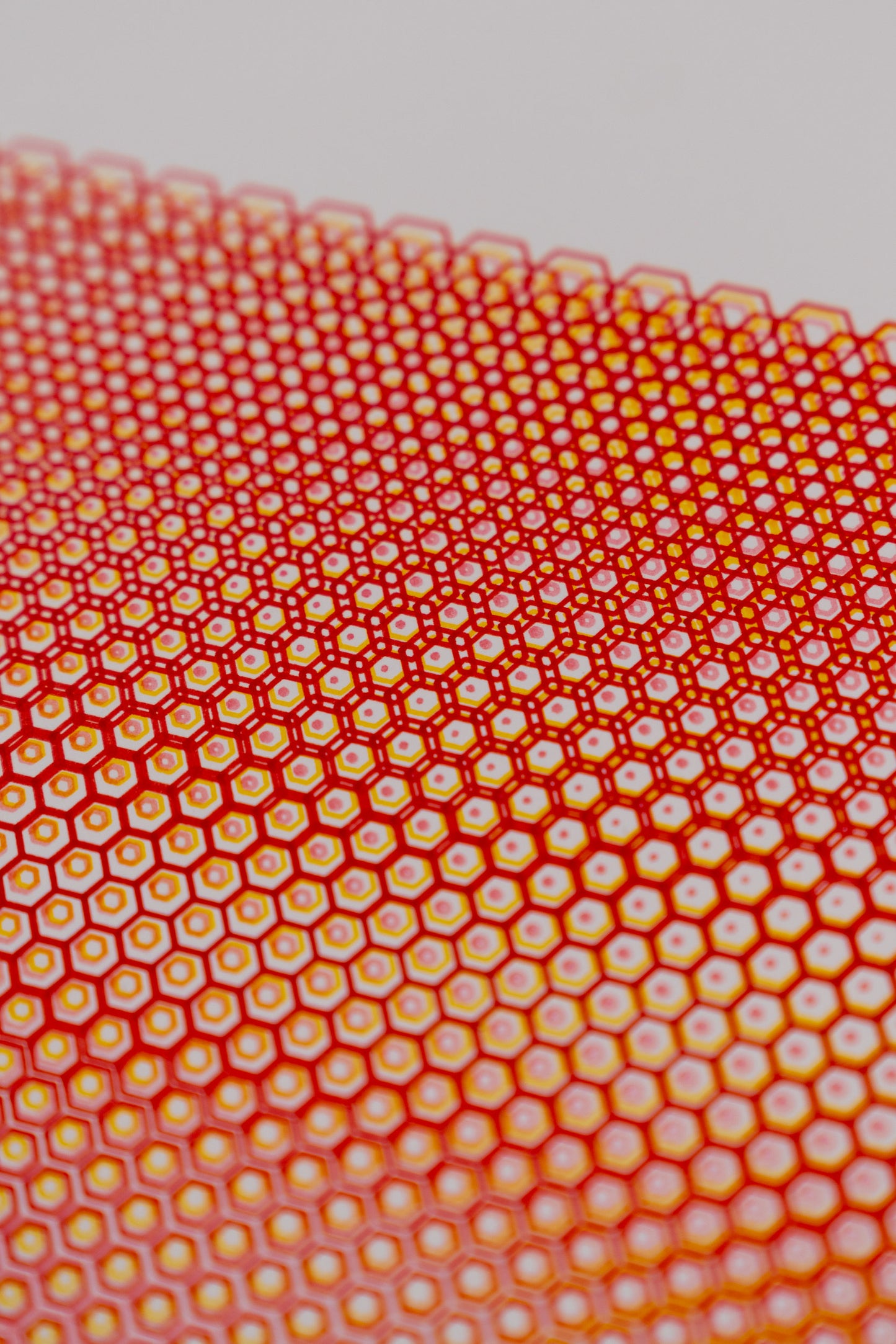 polygon 005