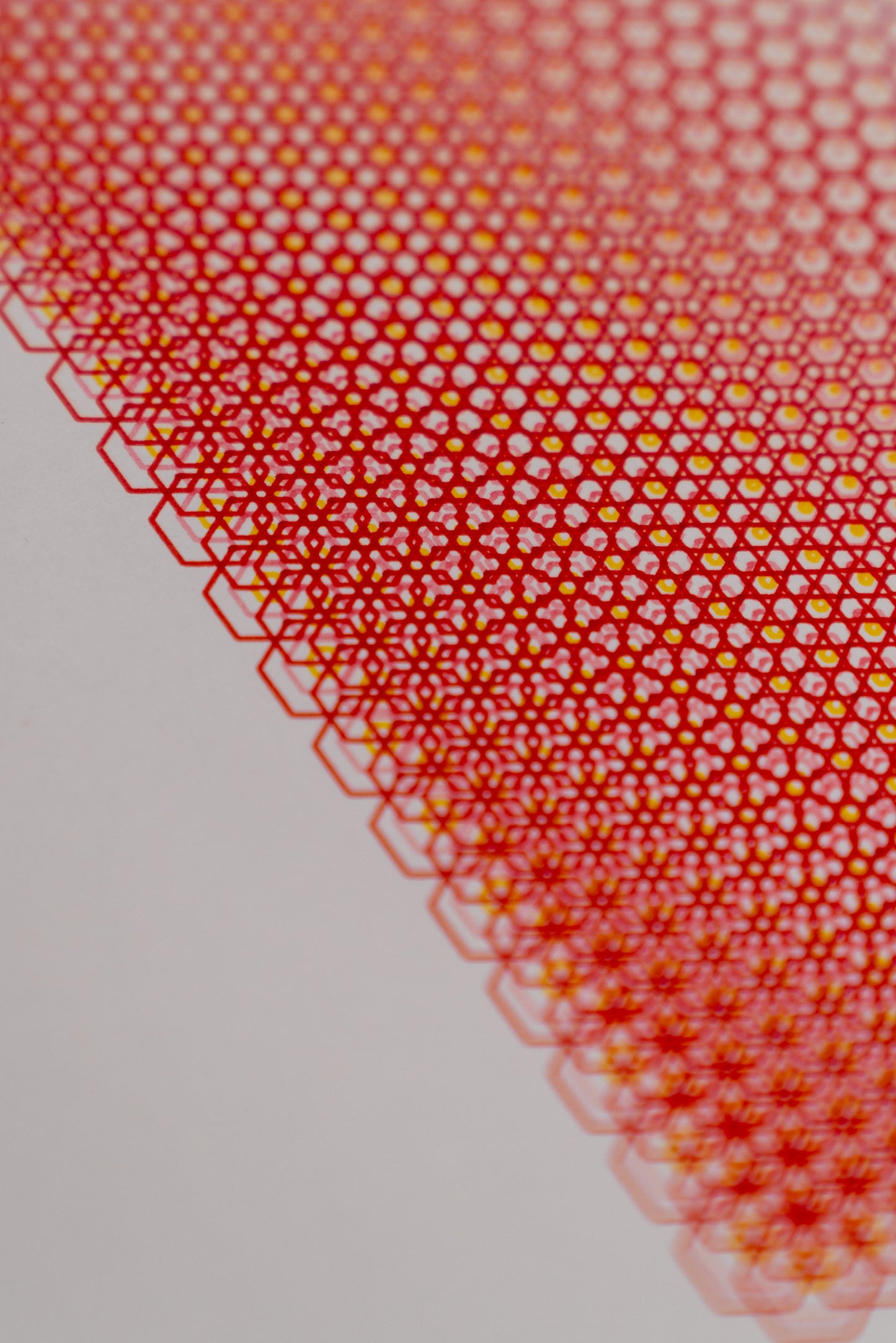 polygon 005