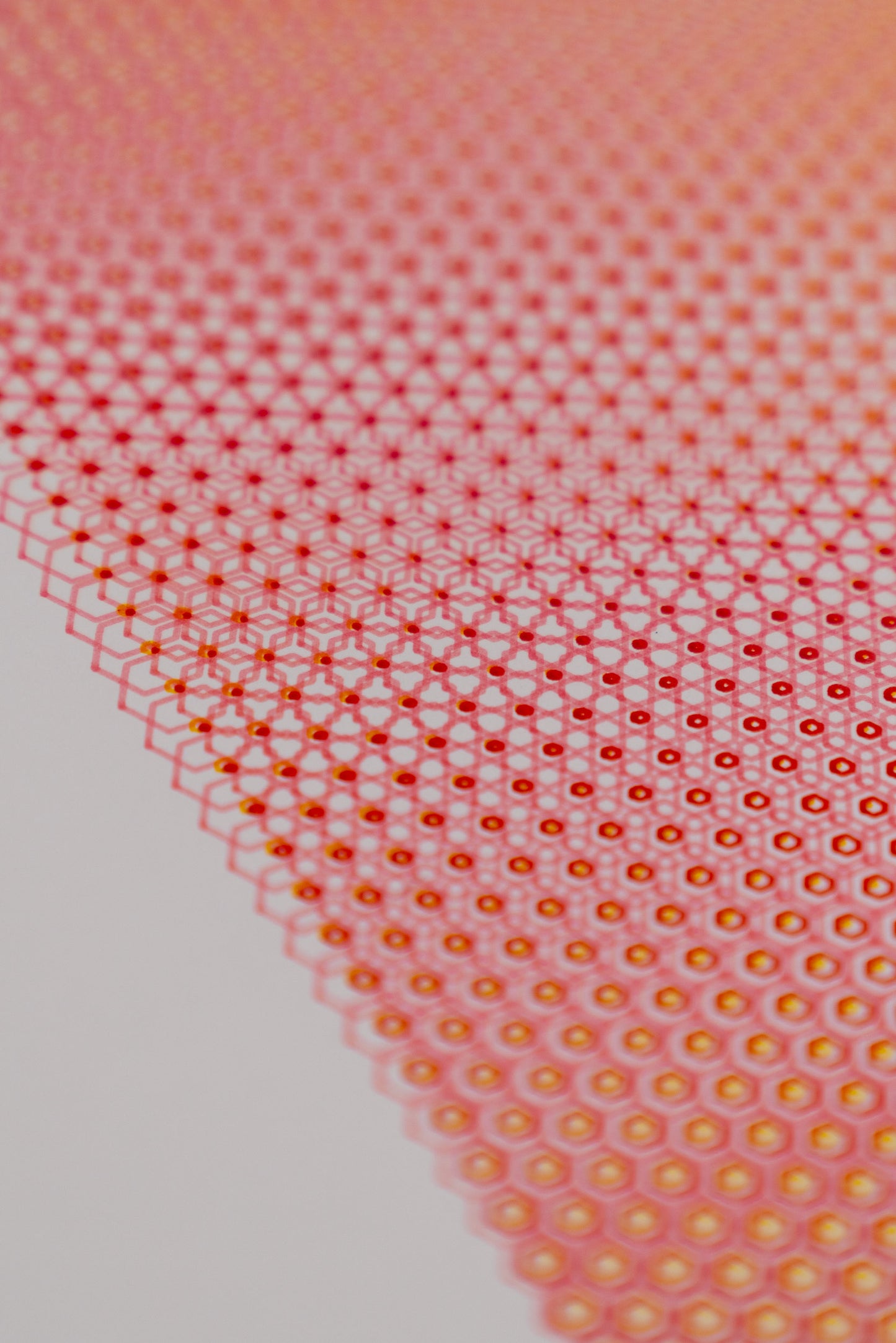 polygon 005