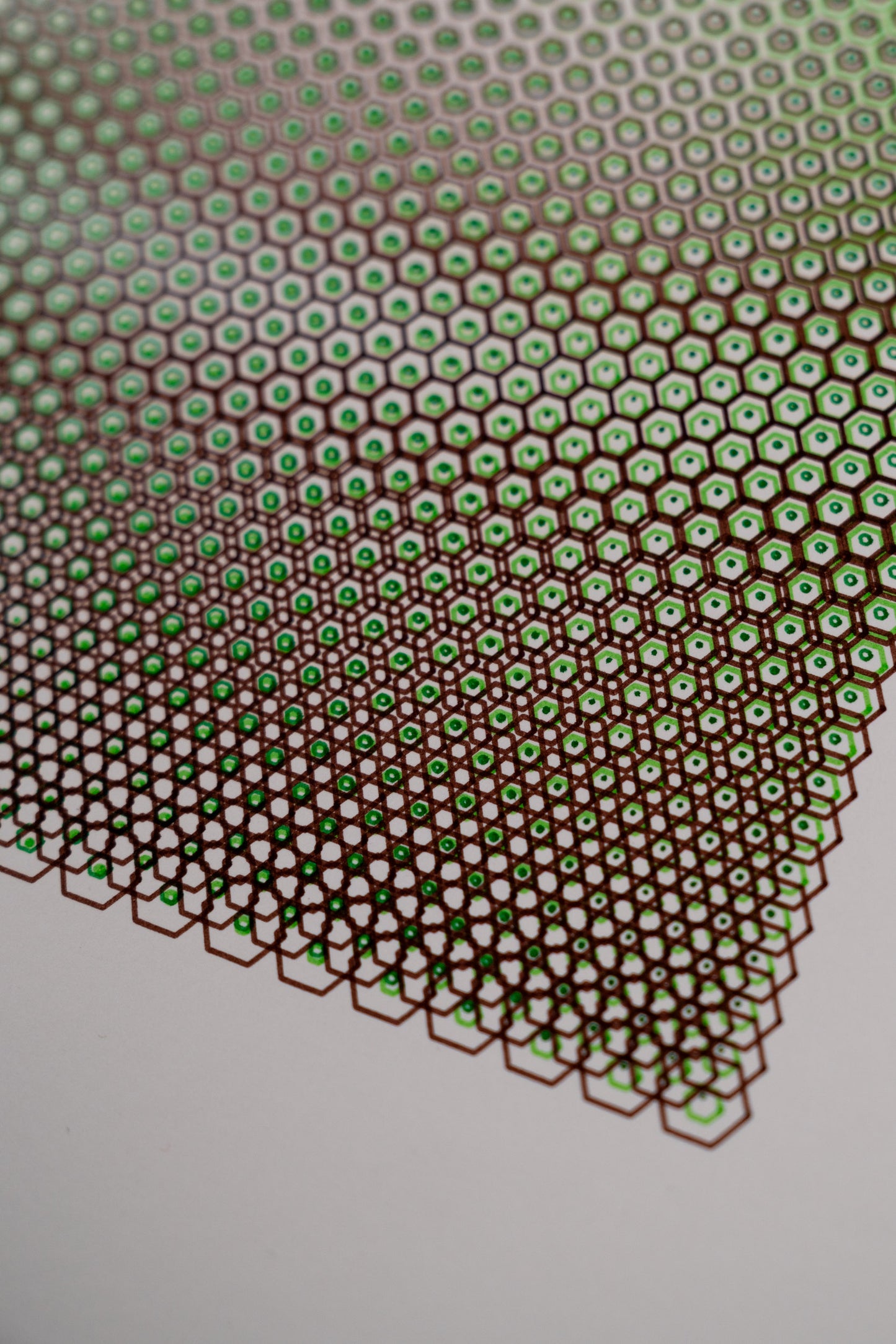 polygon 006