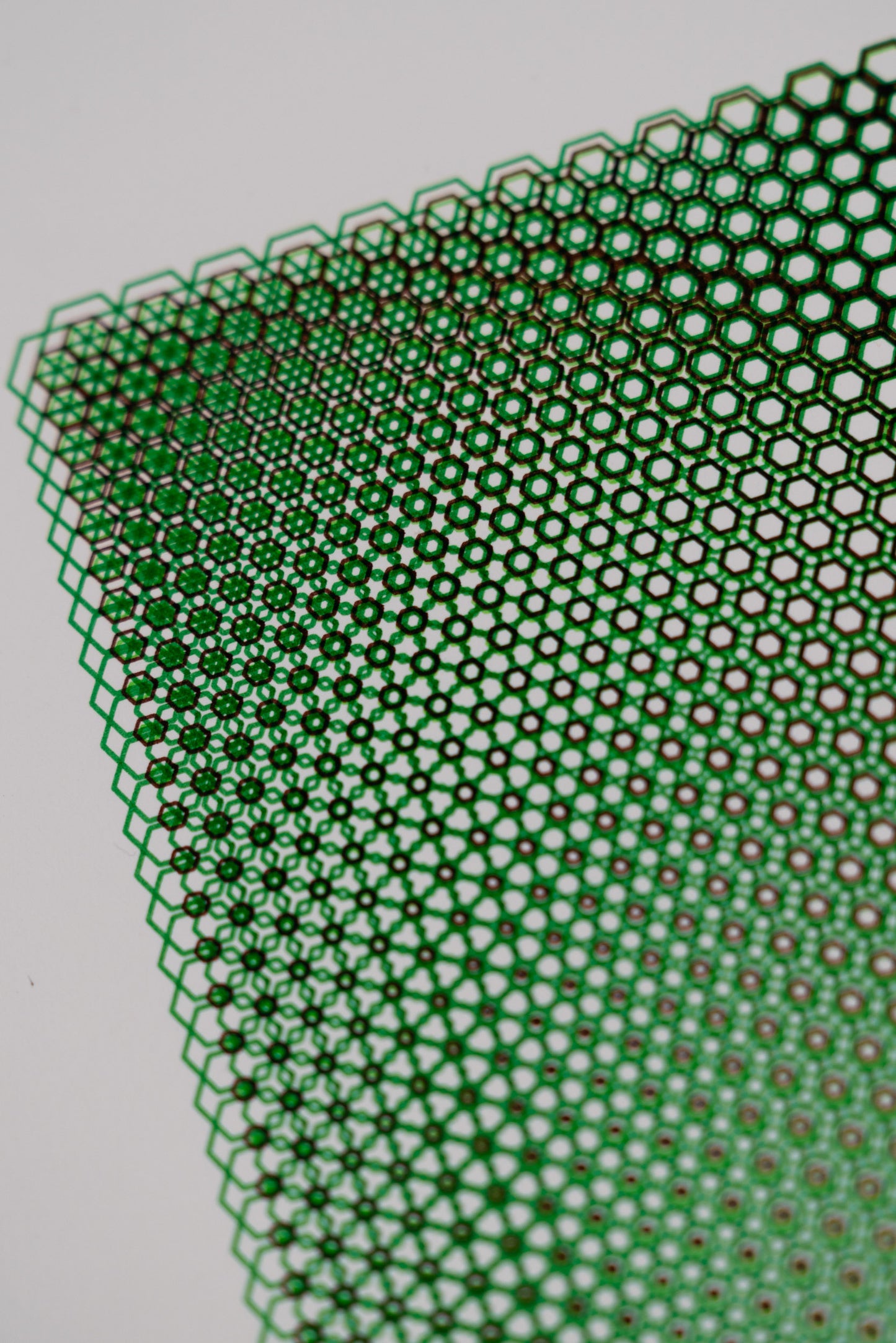 polygon 006