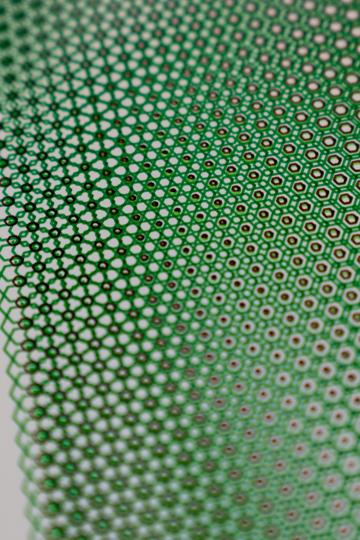 polygon 006