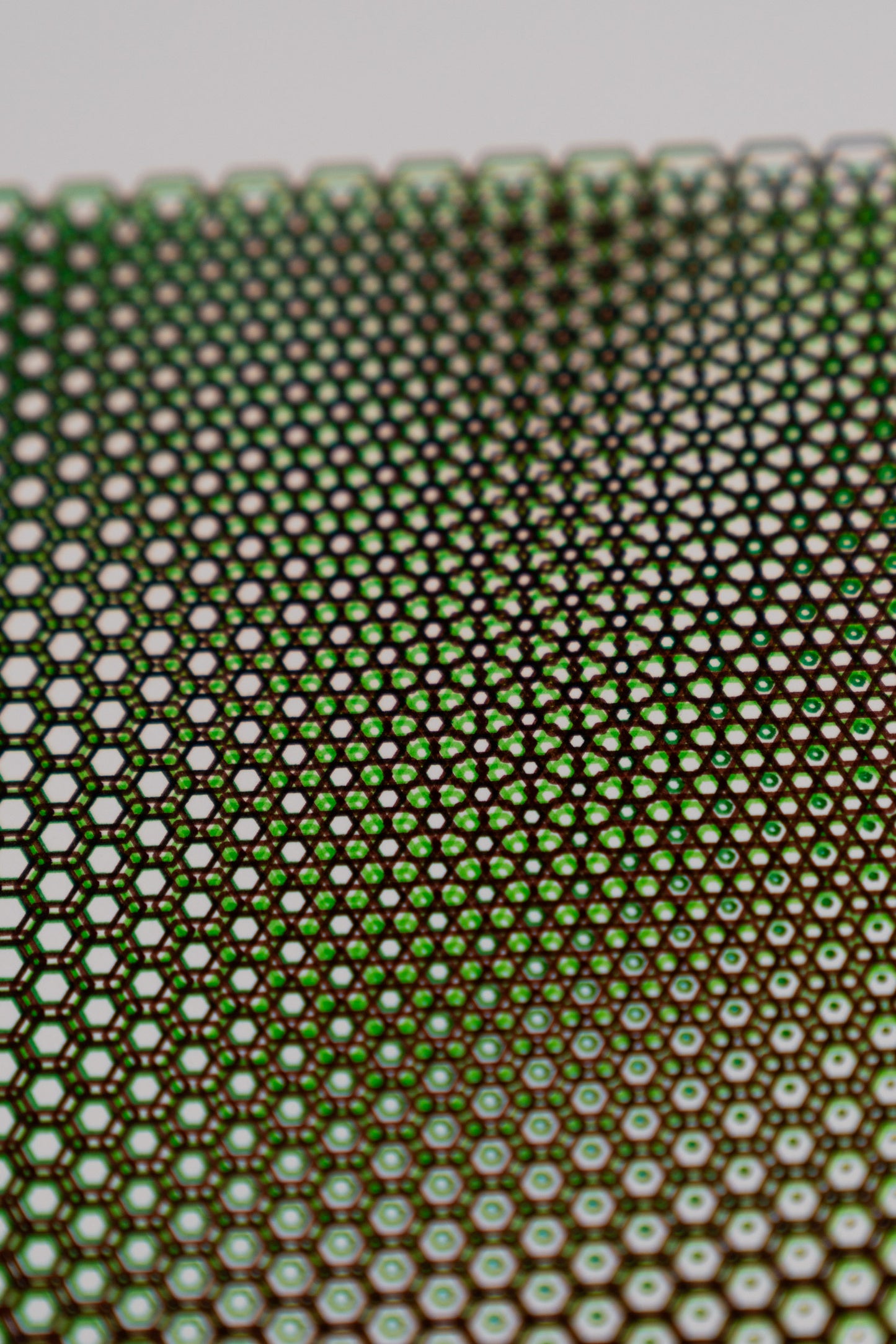 polygon 006
