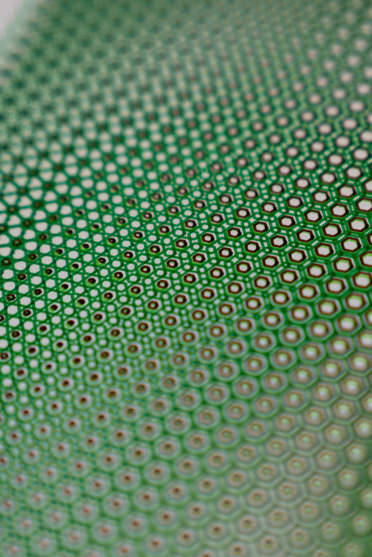 polygon 006