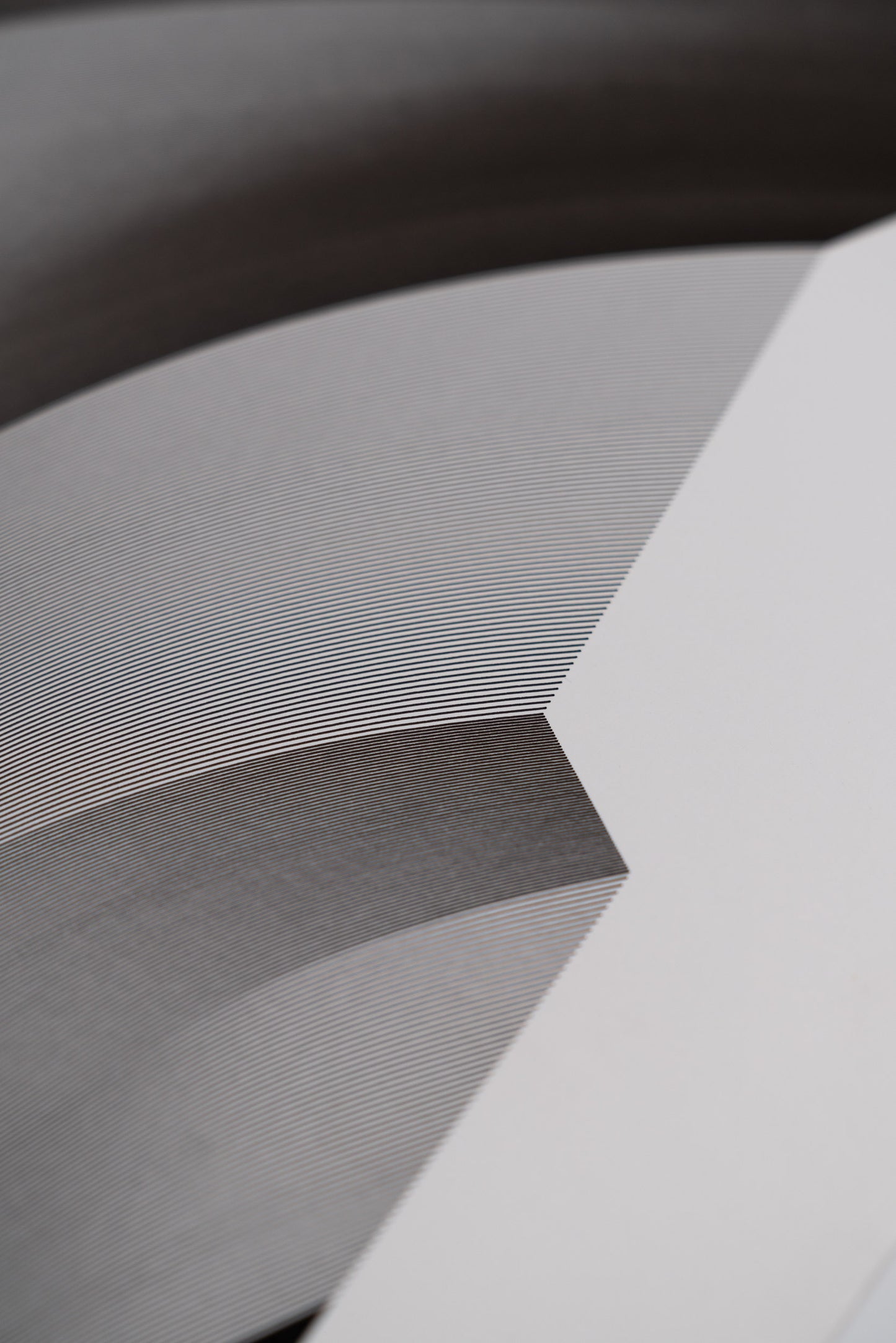 roof 003
