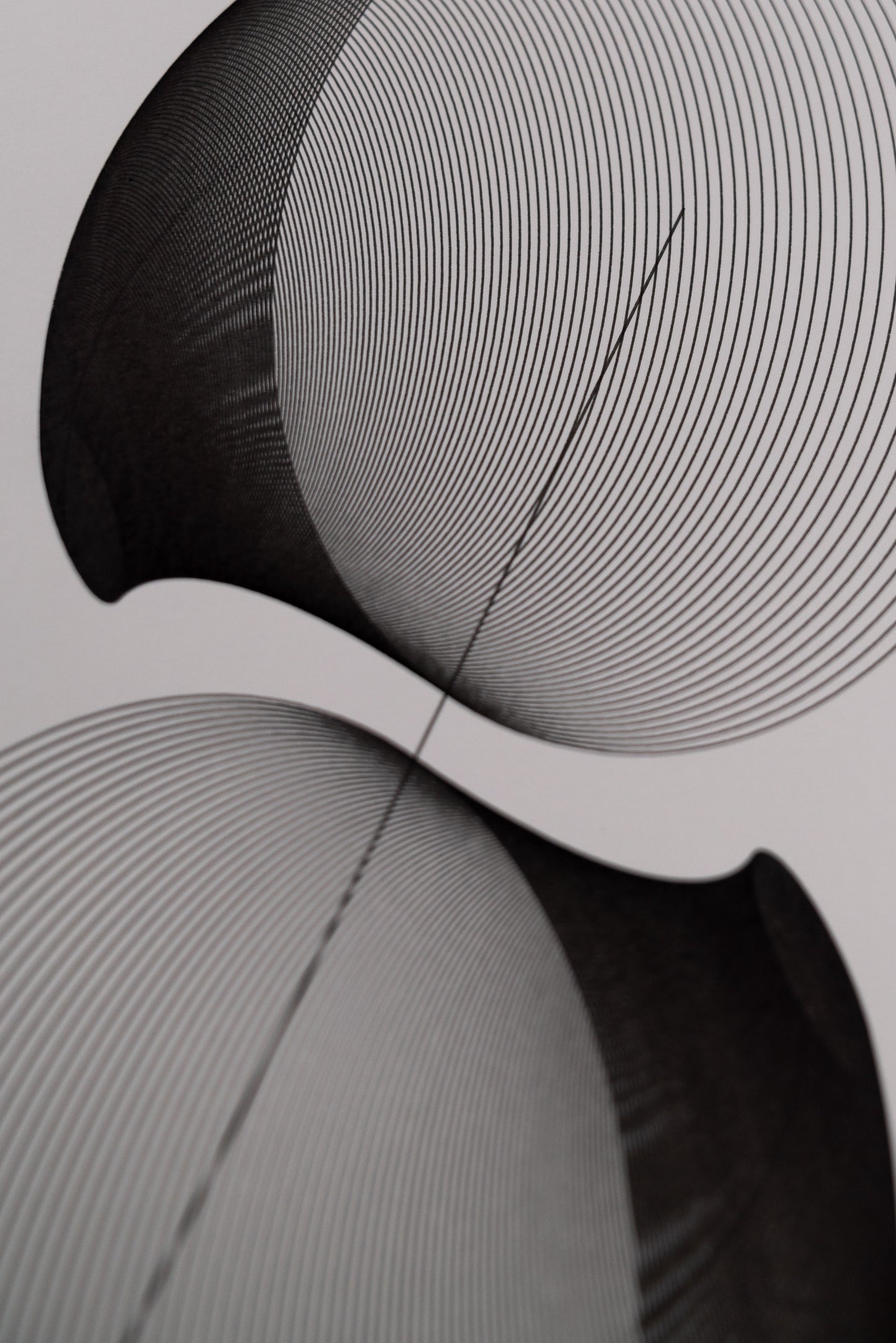 form 003