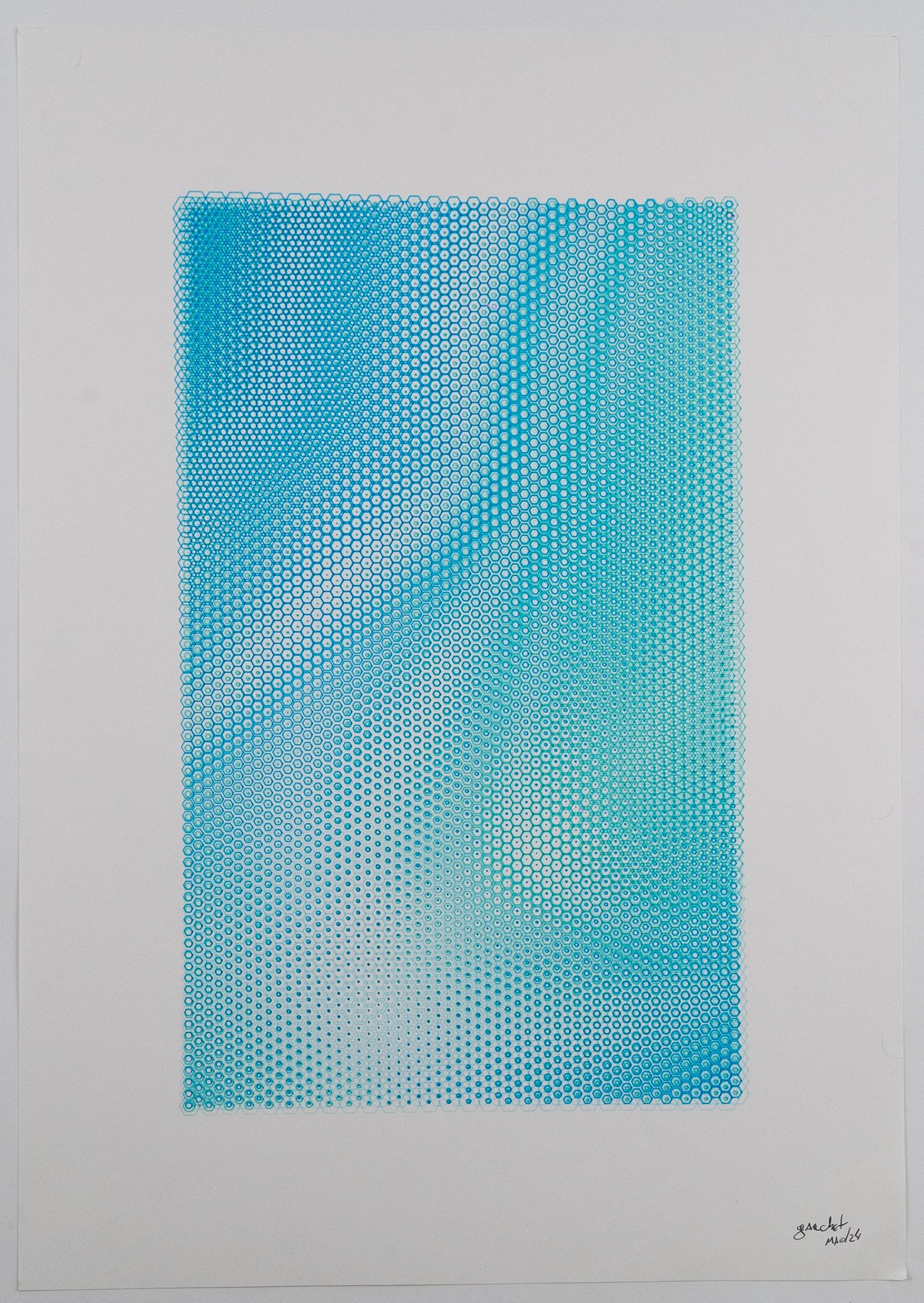 polygon 001