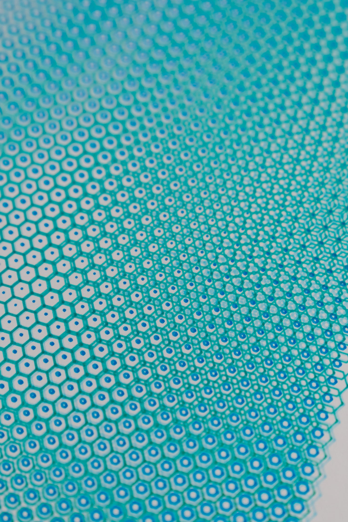 polygon 001