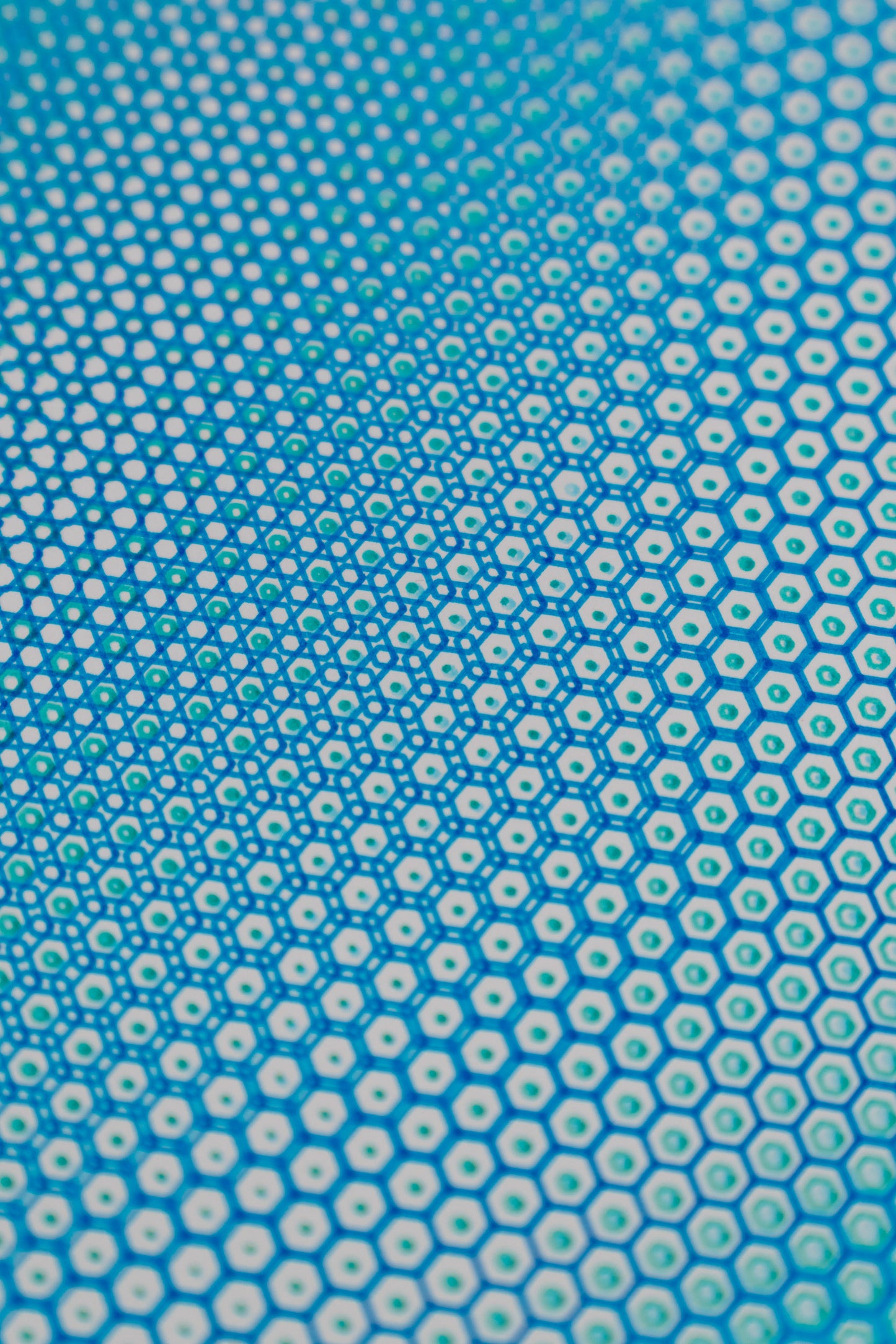 polygon 001