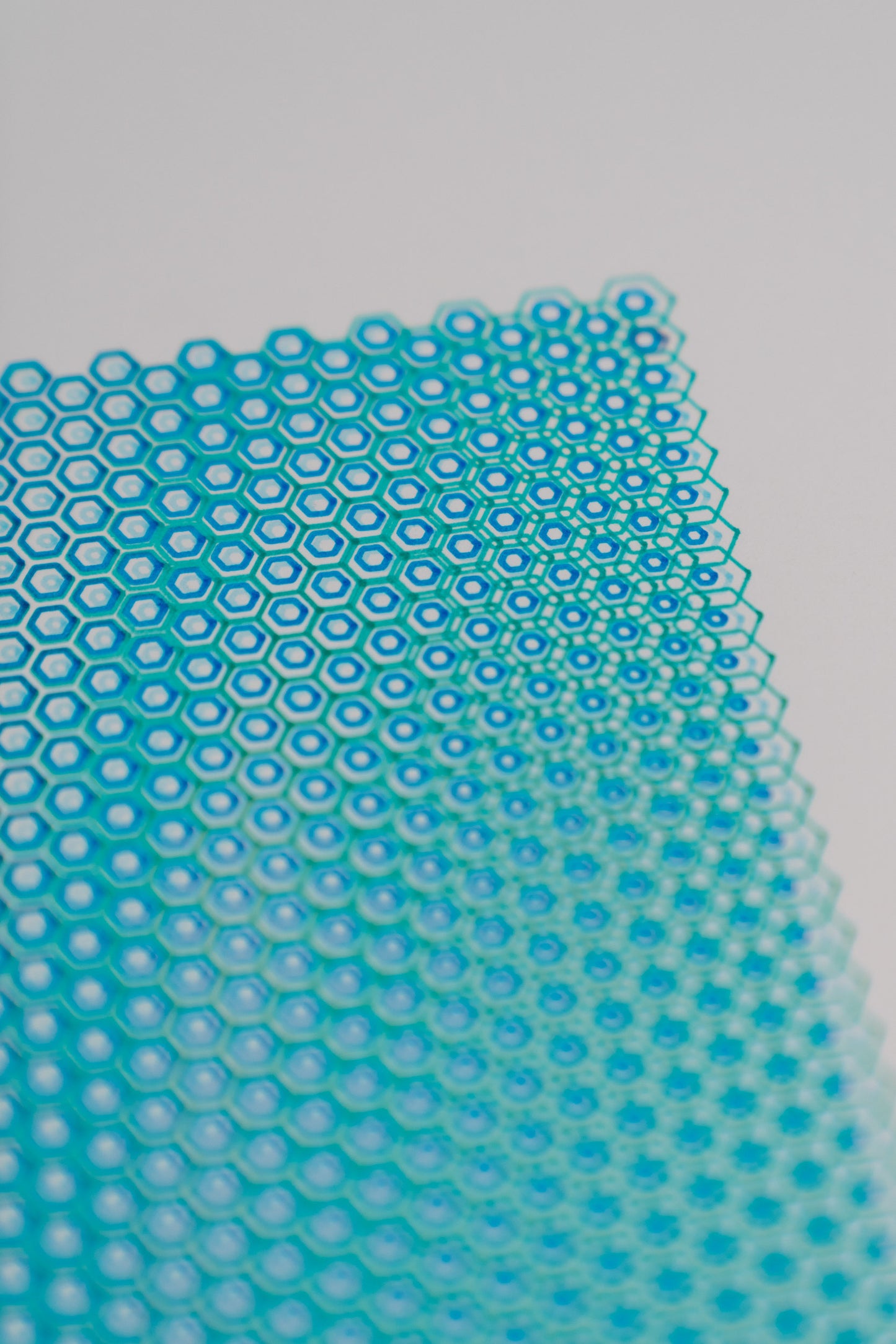 polygon 001