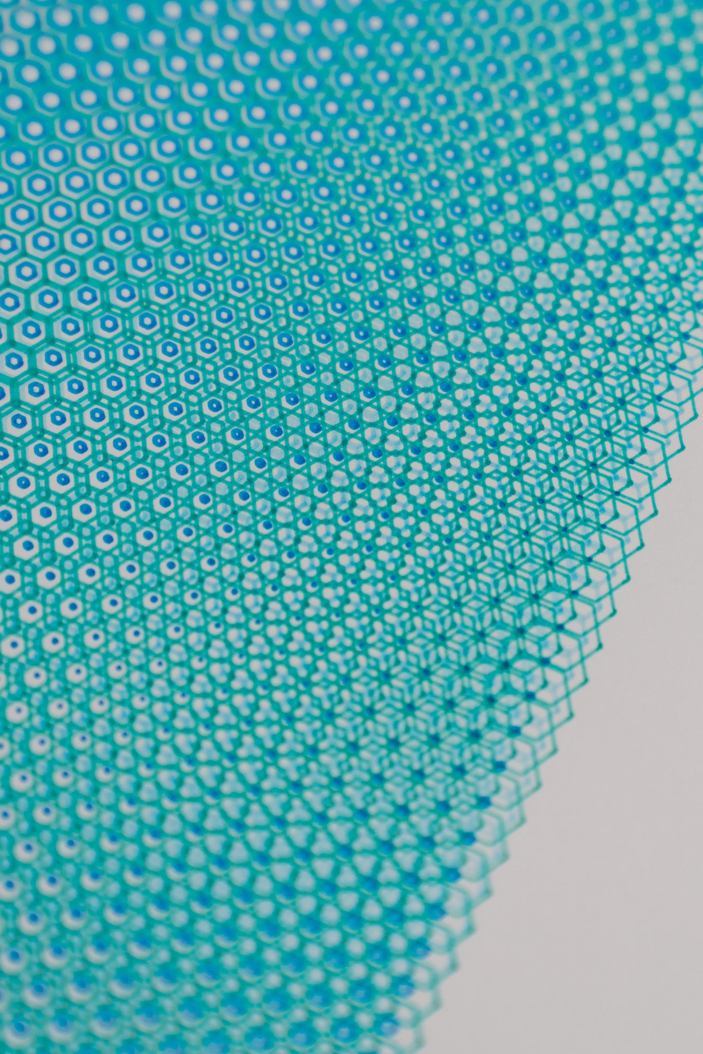 polygon 001