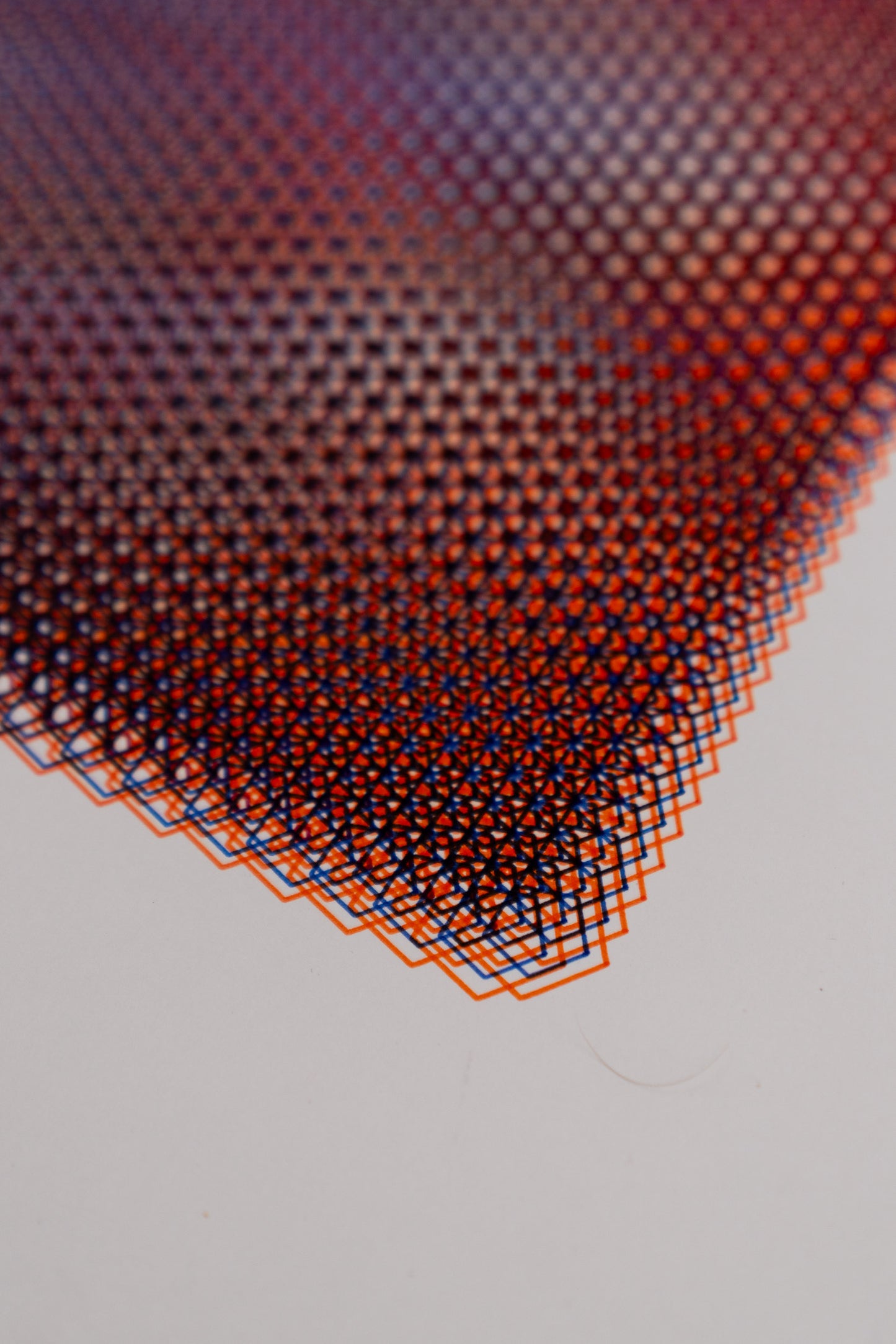 polygon 004